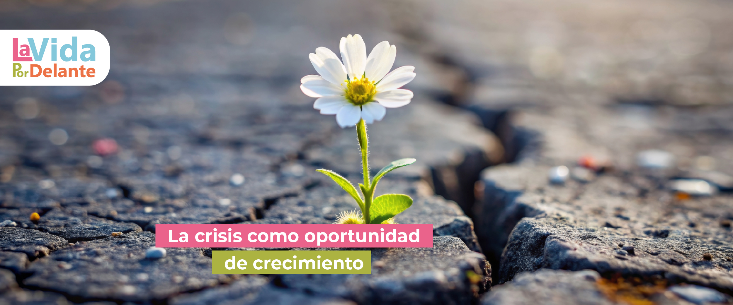 la crisis como oportunidad de crecimiento